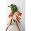 4543970-GoodCook Touch Swivel Blade Peeler, Comfort Grip Handle, 1 CT(Classic Peeler)